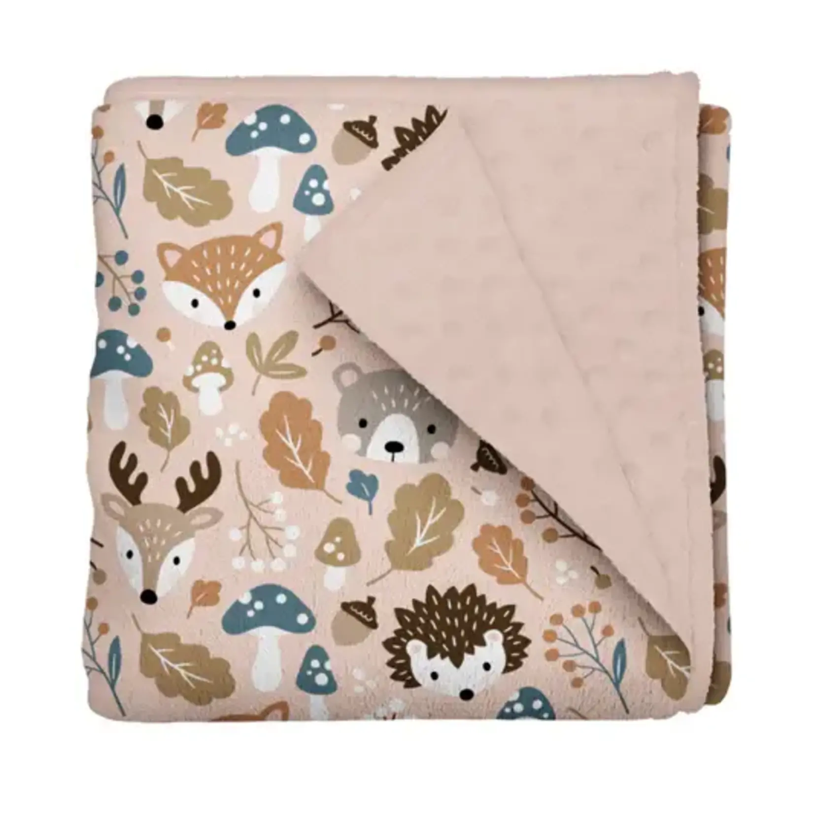 Olé Hop - Couverture de Minky - Chasses aux noix
