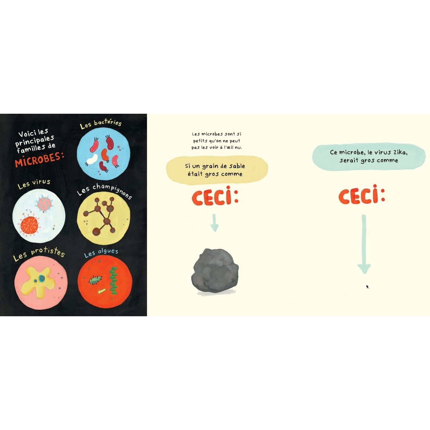 Les 400 Coups (Éditions) CÉDITIONS LES 400 COUPS -  Le Fan Club des Microbes - Élise Gravel - In French