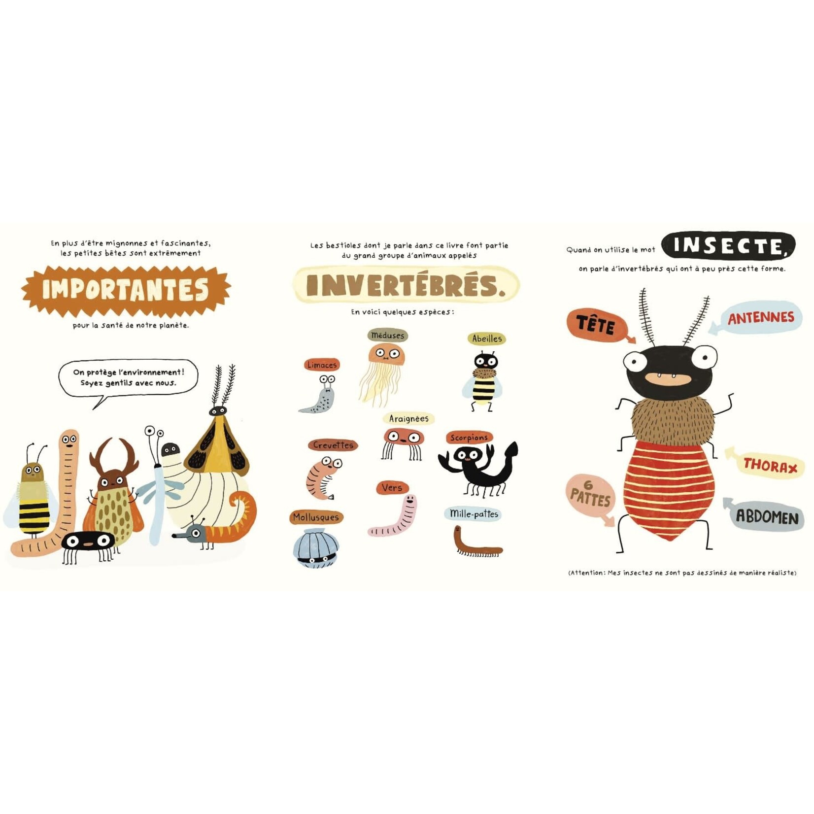 Les 400 Coups (Éditions) ÉDITIONS LES 400 COUPS -  Le Fan Club des Petites Bêtes - Élise Gravel - In French