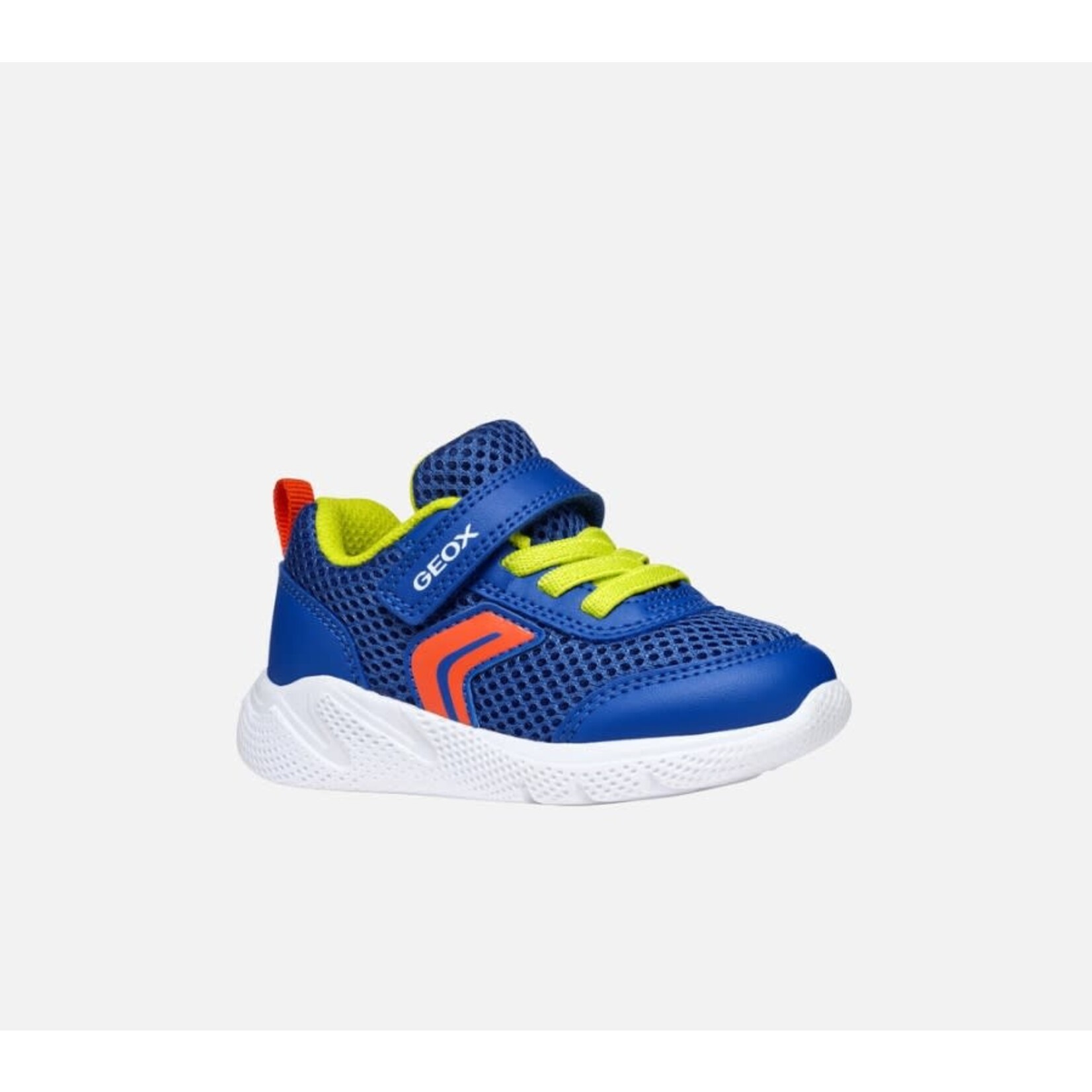 Geox GEOX - Chaussures de sport marine pour petits 'Sprintye - Bleu royal/Rouge'