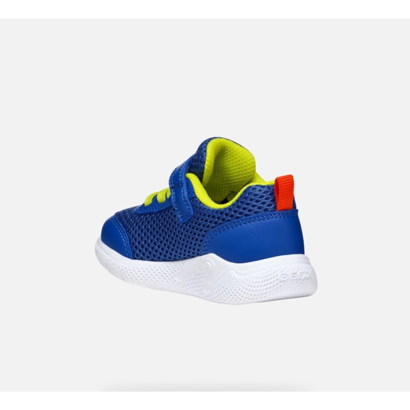 Geox GEOX - Chaussures de sport marine pour petits 'Sprintye - Bleu royal/Rouge'