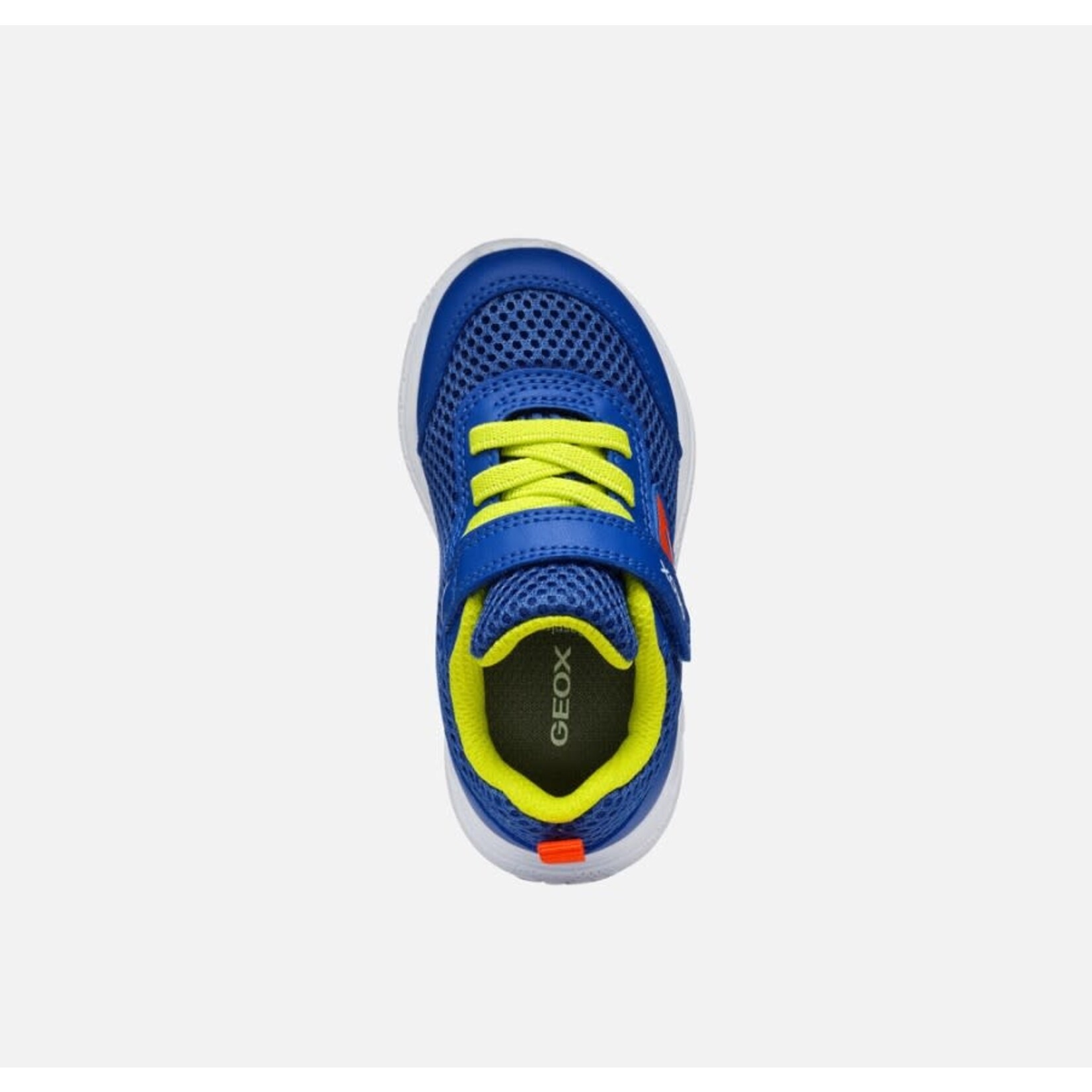 Geox GEOX - Chaussures de sport marine pour petits 'Sprintye - Bleu royal/Rouge'