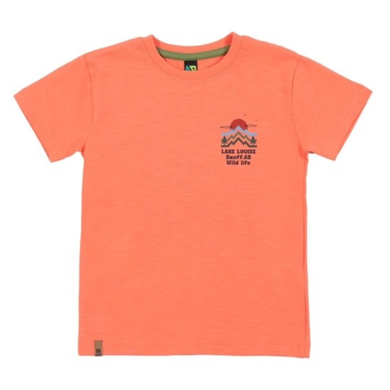 Nanö NANÖ - Orange T-shirt with Lake Louise nature print 'Destination plein air'