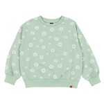 Nanö NANÖ - Chandail coton ouaté vert imprimé de fleurs blanches 'Douce coccinelle'