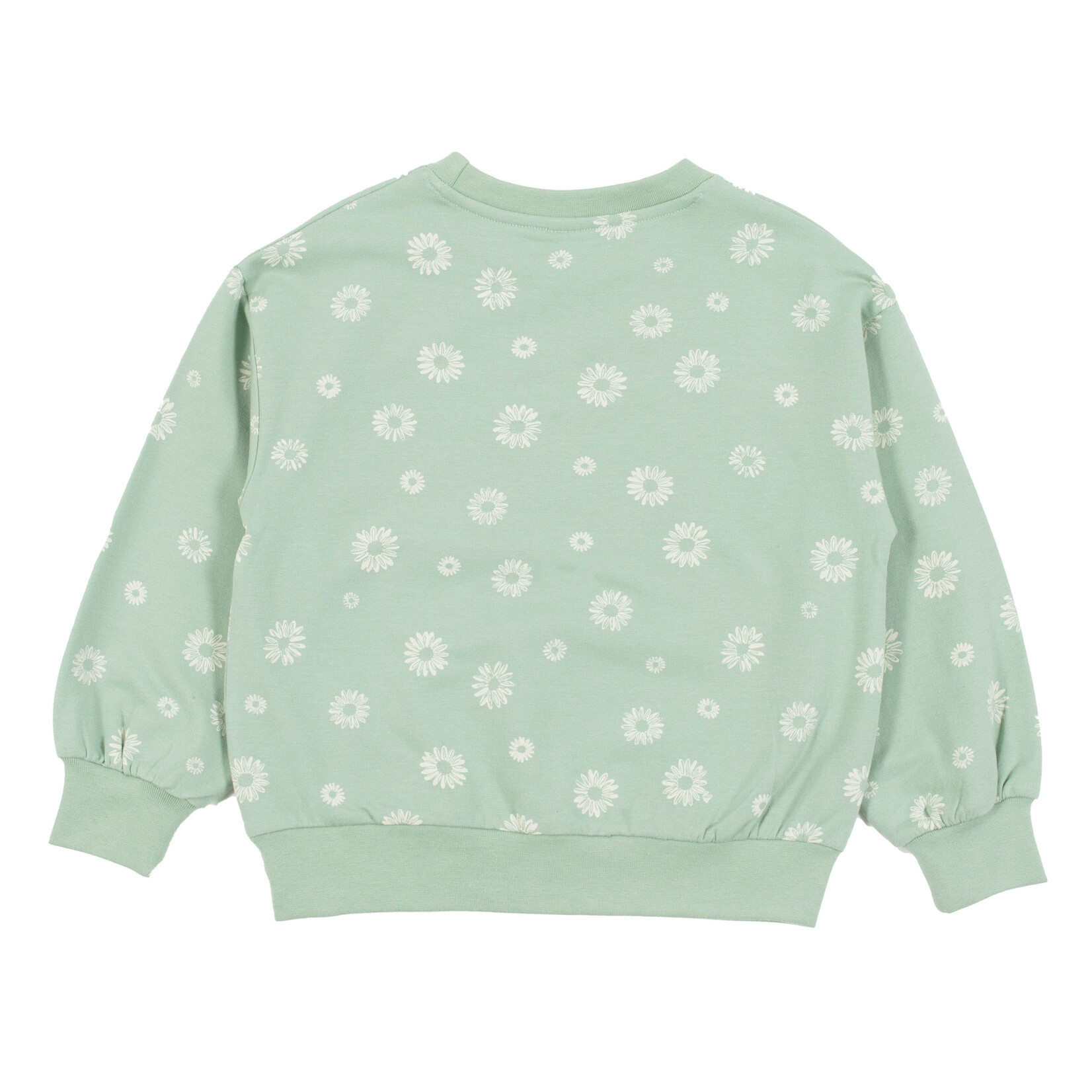 Nanö NANÖ - Chandail coton ouaté vert imprimé de fleurs blanches  'Douce coccinelle'