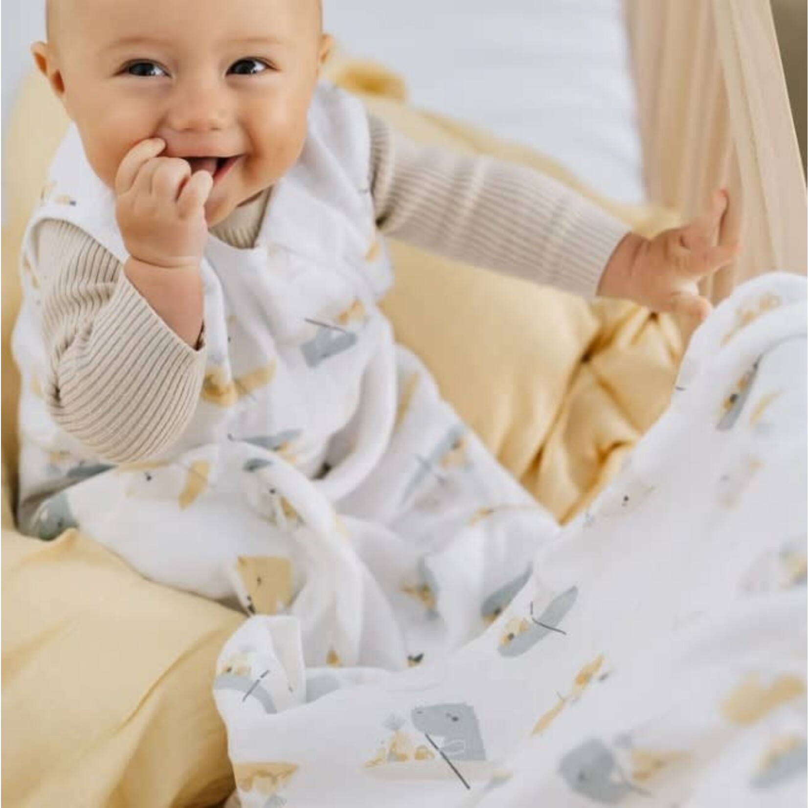 Perlimpinpin PERLIMPINPIN - Muslin cotton sleep bag - Rhino (0.7 togs)