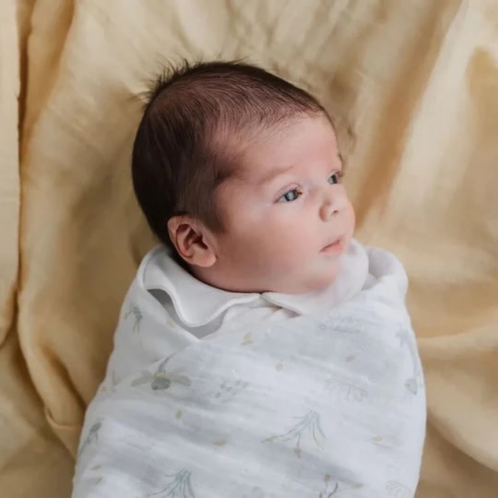 Perlimpinpin PERLIMPINPIN -  cotton muslin blanket 'Insects'