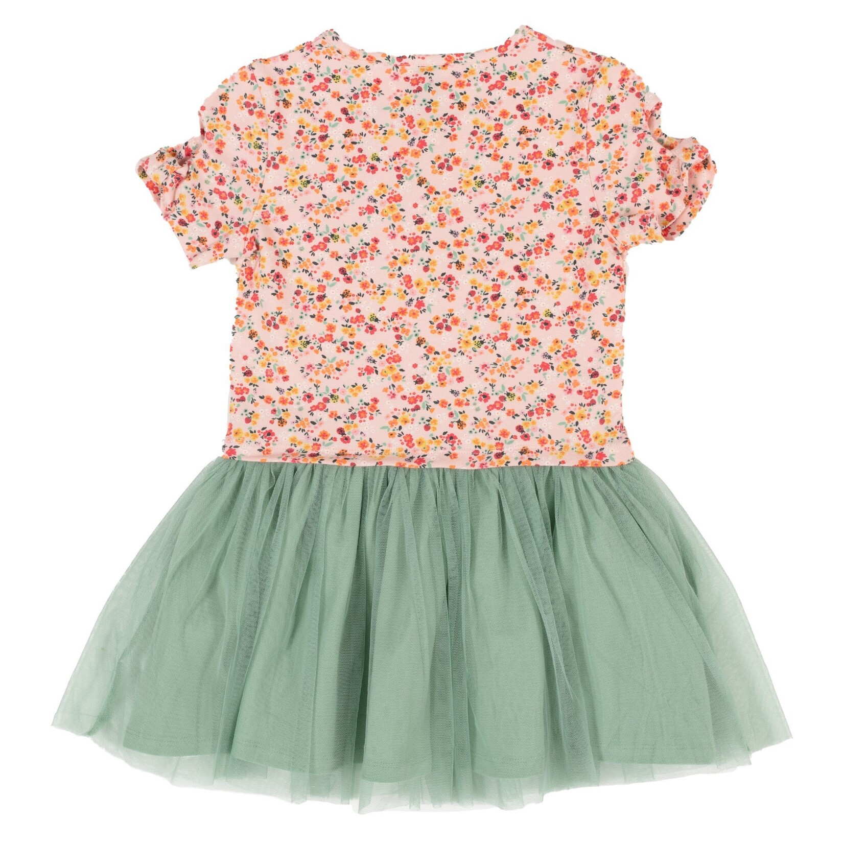 Nanö NANÖ - Shortsleeve dress with flower print top and green tulle skirt 'Douce coccinelle'