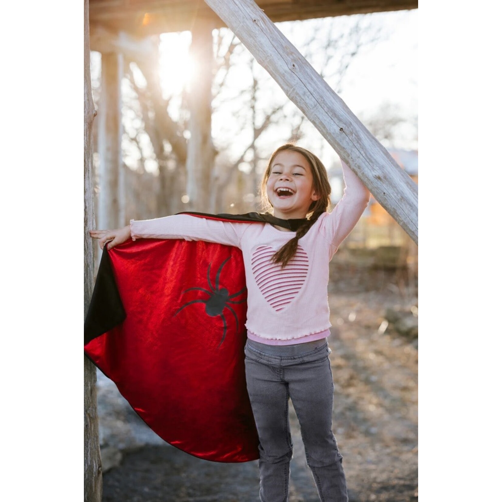 Great Pretenders GREAT PRETENDERS - Reversible Spider/Bat Flowing Cape