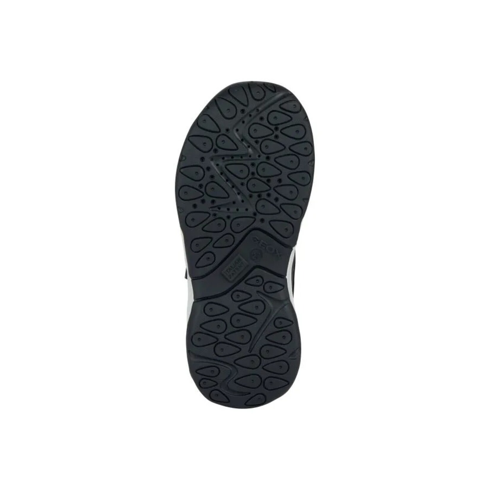 Geox GEOX - Shimmery Sneakers 'Calco - Navy/Dark Silver'