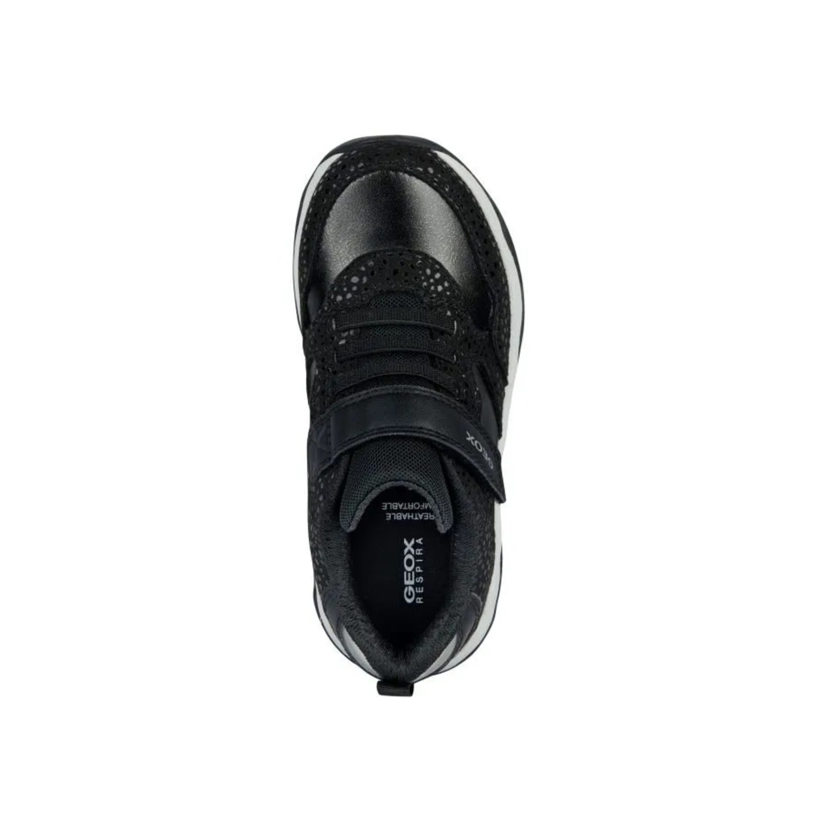 Geox GEOX - Shimmery Sneakers 'Calco - Navy/Dark Silver'