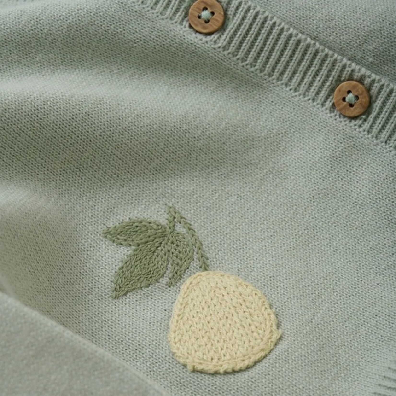 Fixoni FIXONI - Cardigan sauge avec poires brodées