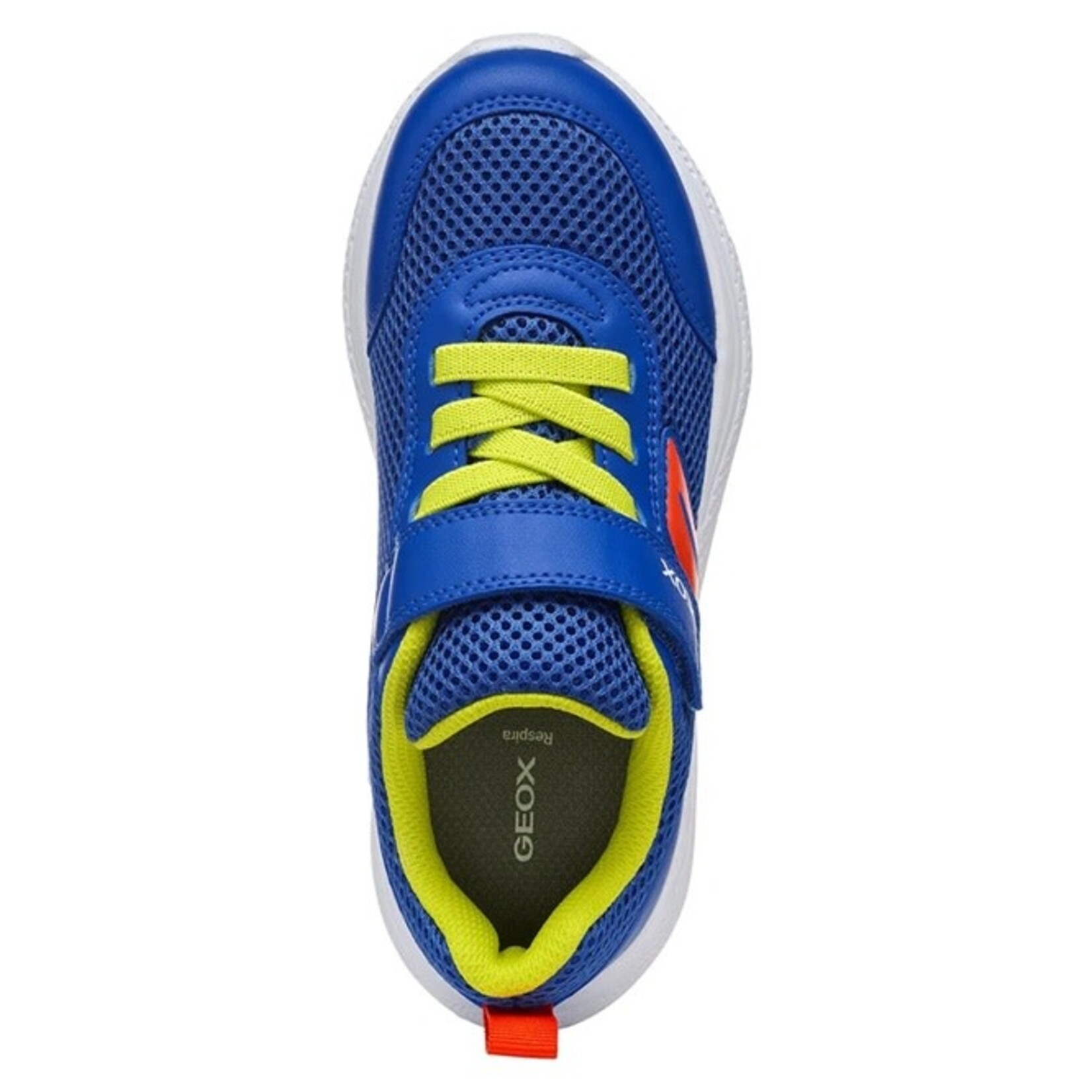 Geox GEOX - Navy blue sports shoes 'Sprintye - Royal Blue/Red'