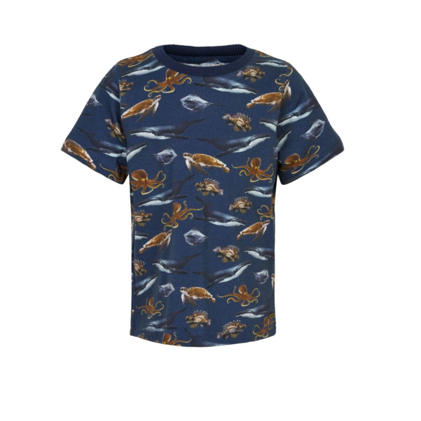 Minymo MINYMO - Navy T-Shirt with 'Sea Creatures' Print - Surf Collection
