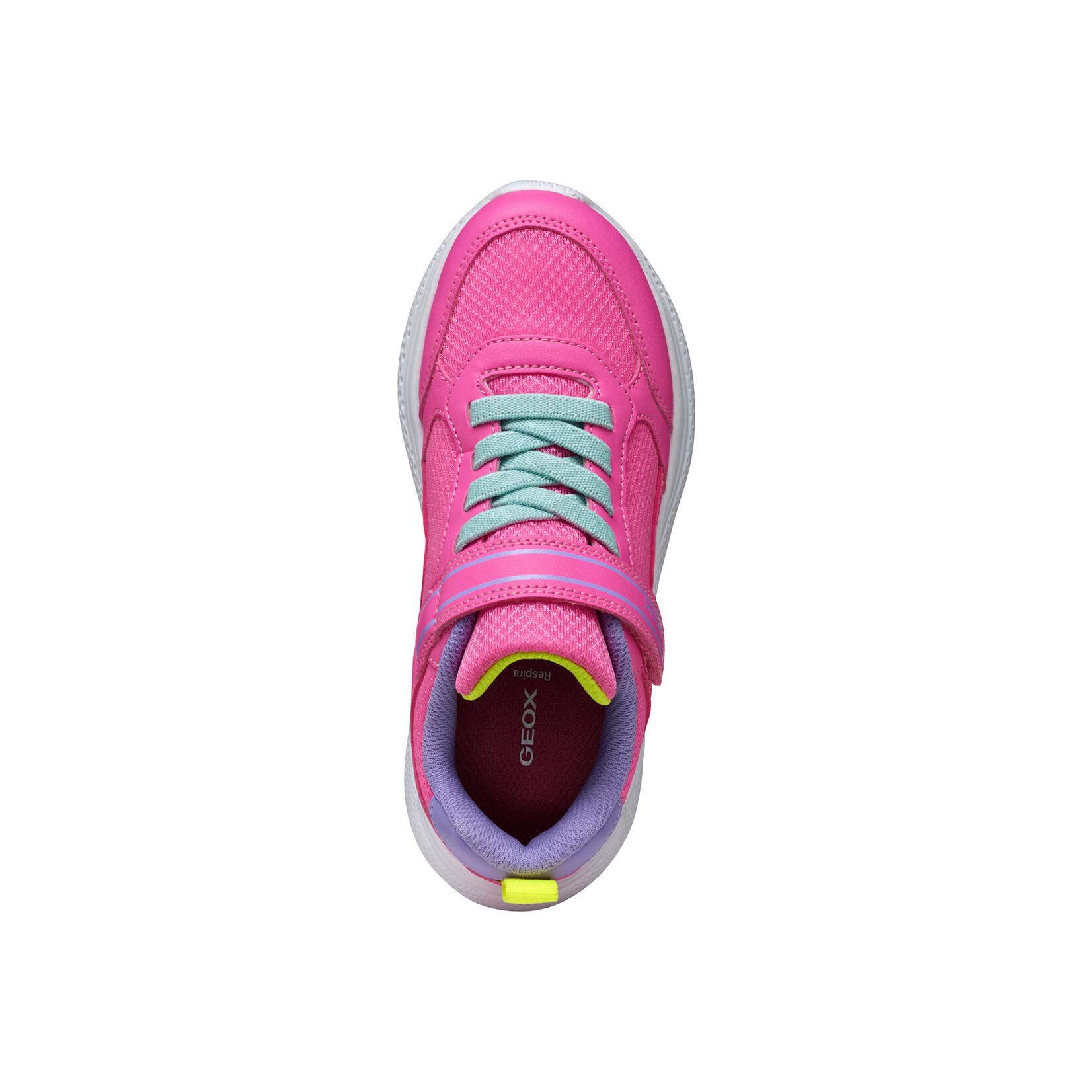 Geox GEOX - Chaussures de sport 'Sprintye - Fluo Fuchsia/Dark Lila'