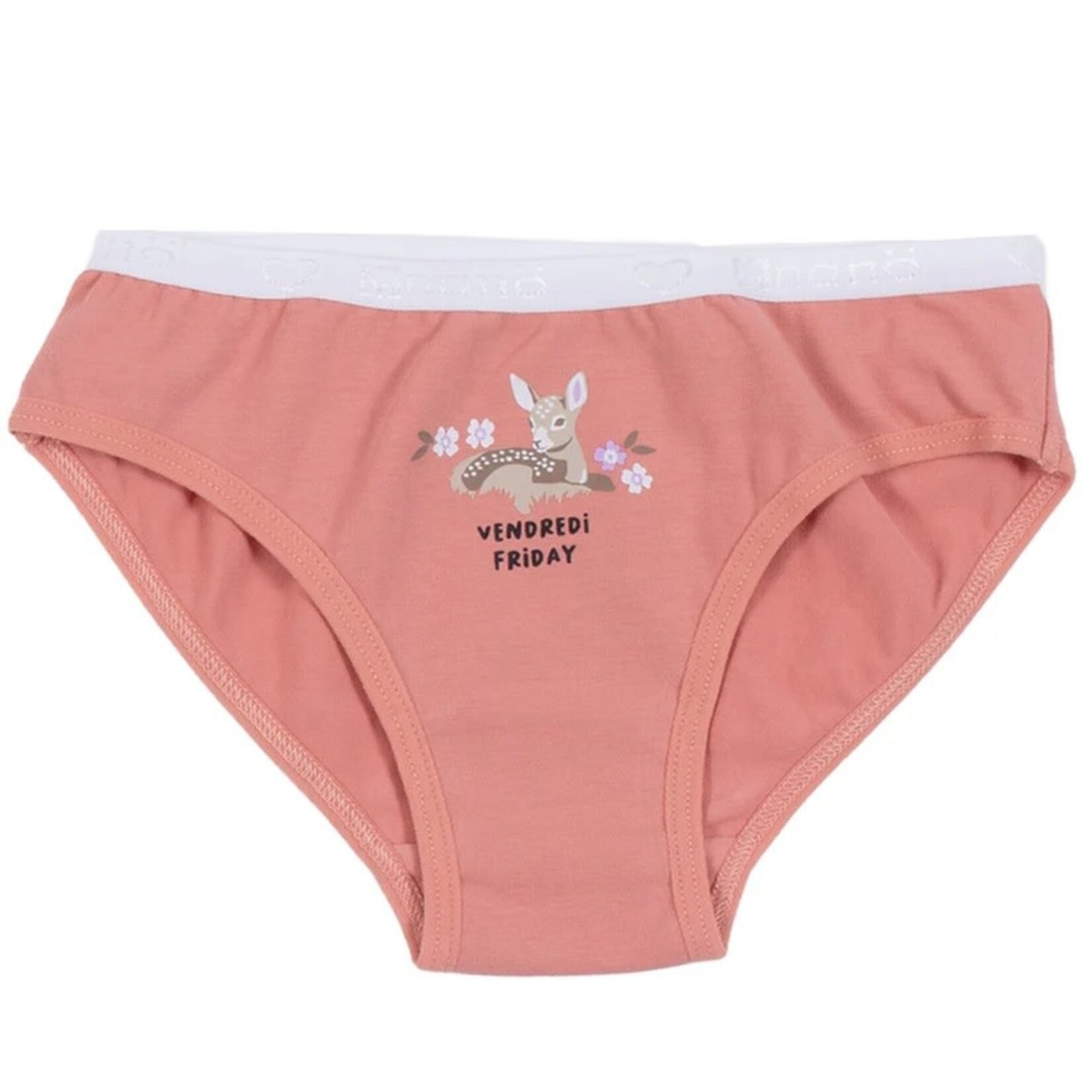 Nanö  NANÖ - Pack of 7 multi-colored underwear with animals and days of the week print