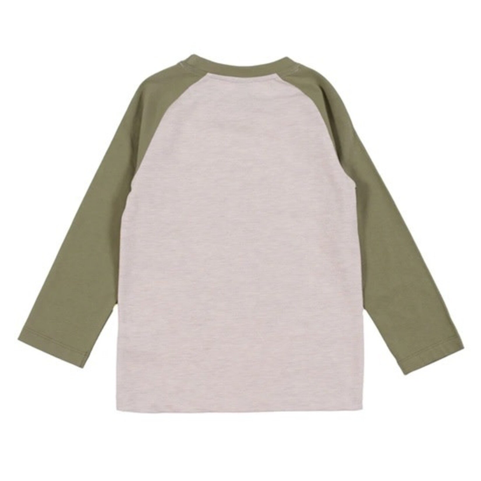 Nanö  NANÖ - Green and beige long-sleeved T-shirt with nature print 'Horticool'