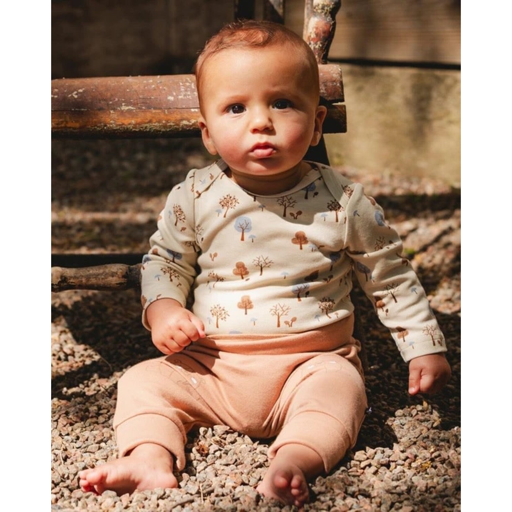 Deux par Deux DEUX PAR DEUX - Organic Cotton Evolutive Pants Brown With Bears 'B.A.B.Y. basics'