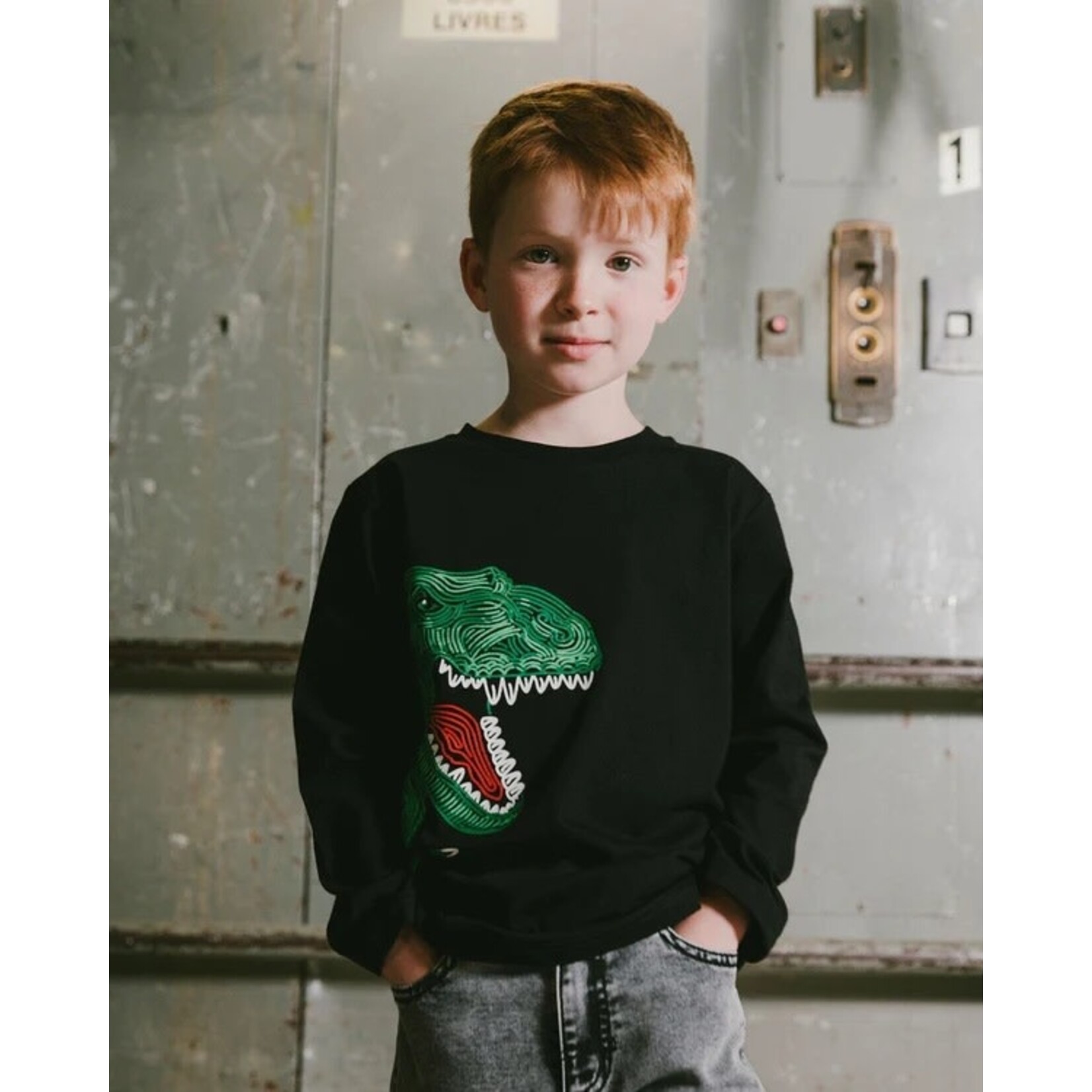 Deux par Deux DEUX PAR DEUX- Longsleeve Jersey T-shirt With Green Dinosaur Print 'B.O.Y.S'