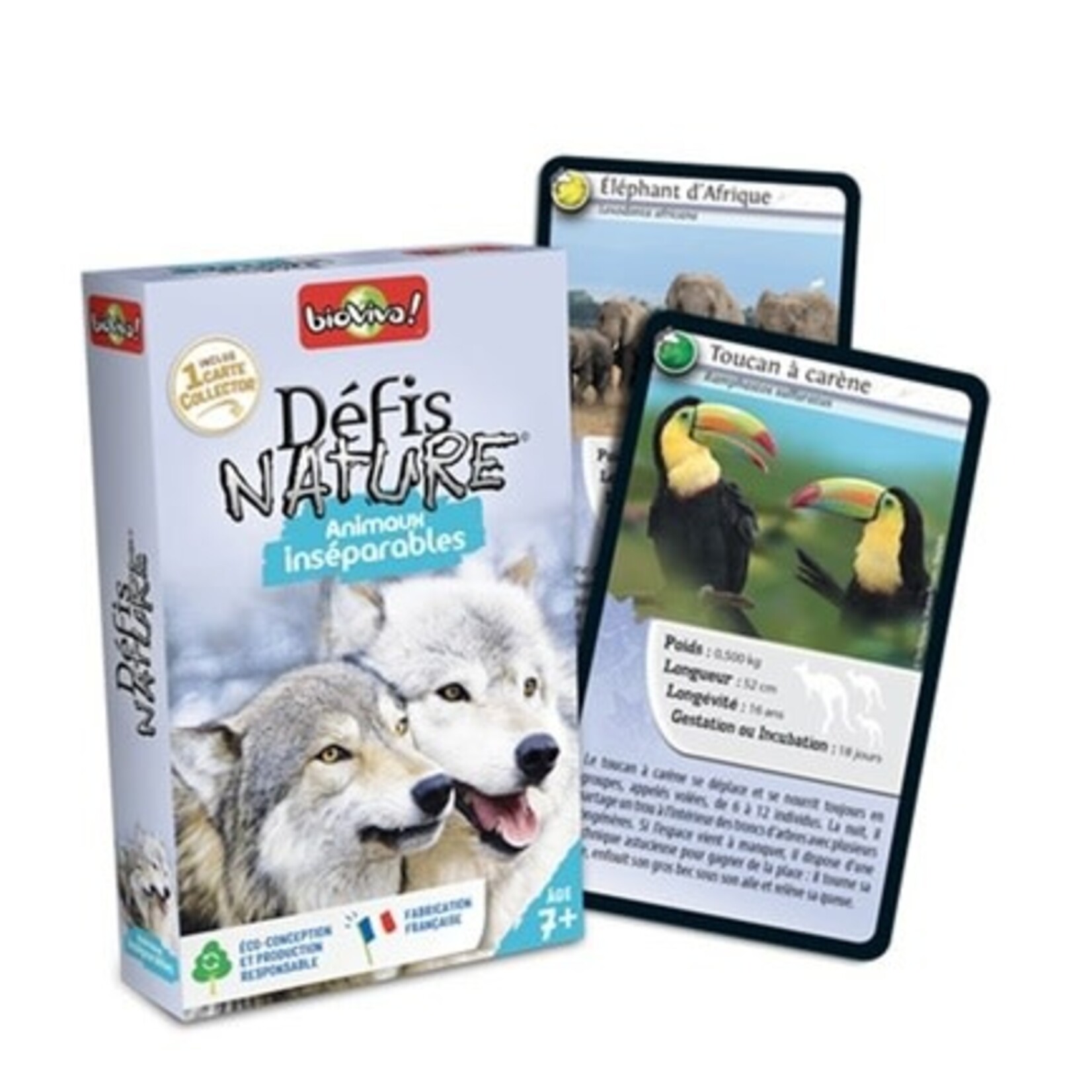 Djeco DJECO - 'Nature Challenge - Inseparable Animals' Card Game- In French