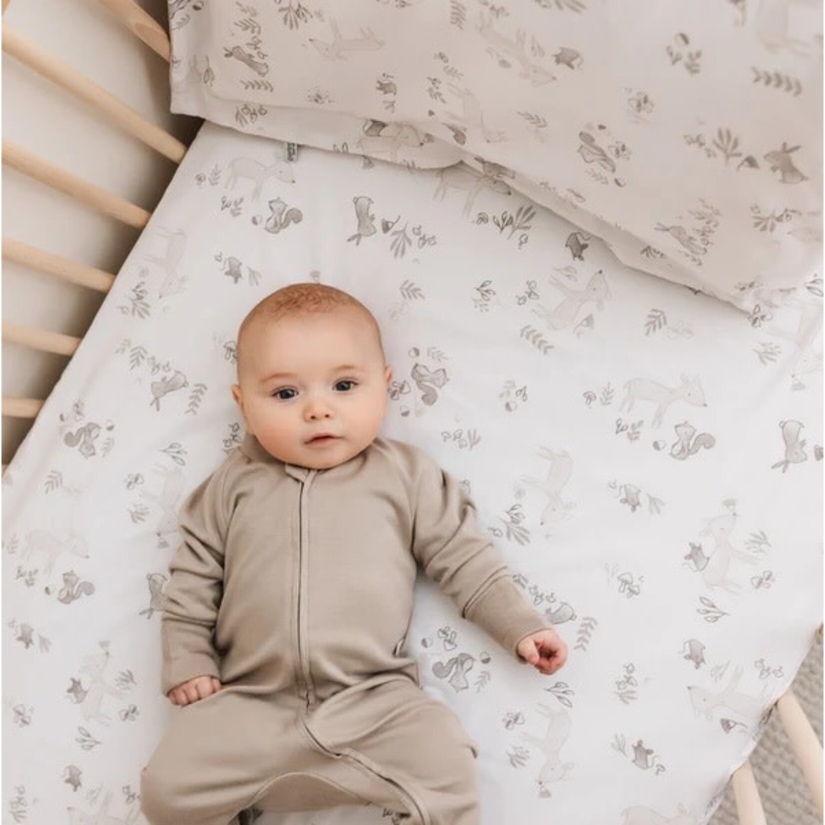 Perlimpinpin PERLIMPINPIN - Cotton fitted sheet - 'Forest'