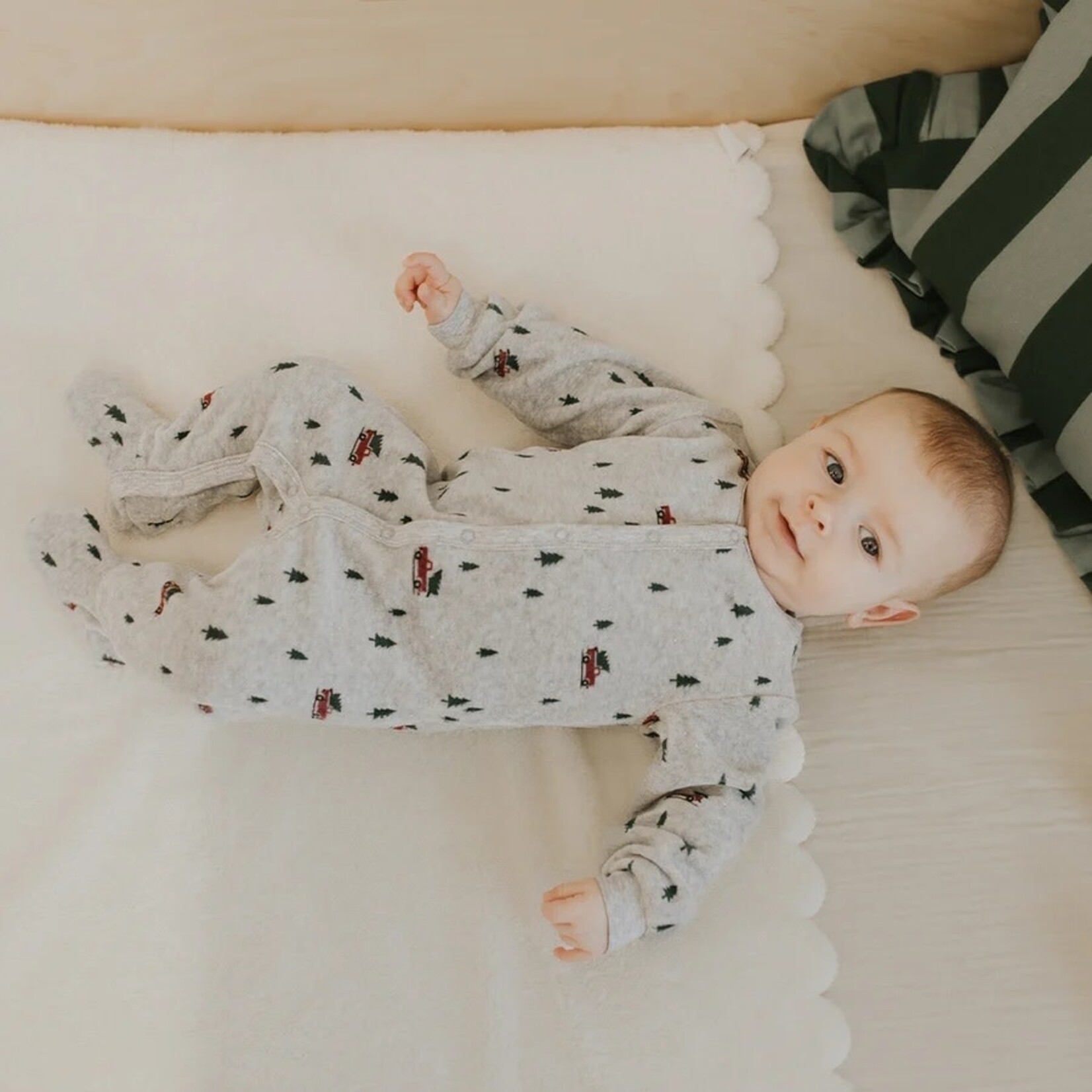 Petit Lem PETIT LEM - Baby pajamas in mottled grey velvet with festive truck print