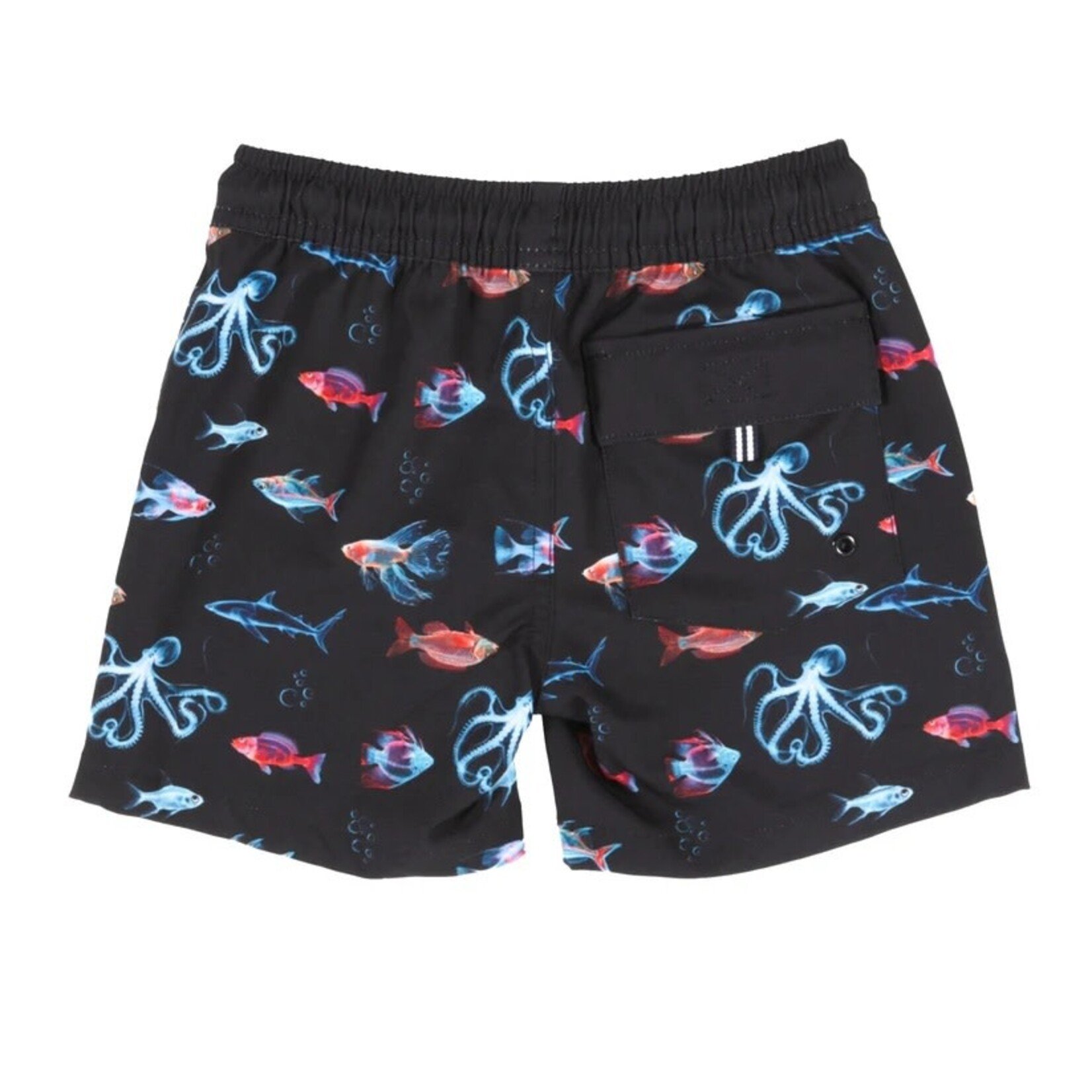 Nanö NANÖ - Short de maillot UV noir avec créatures marines et poche