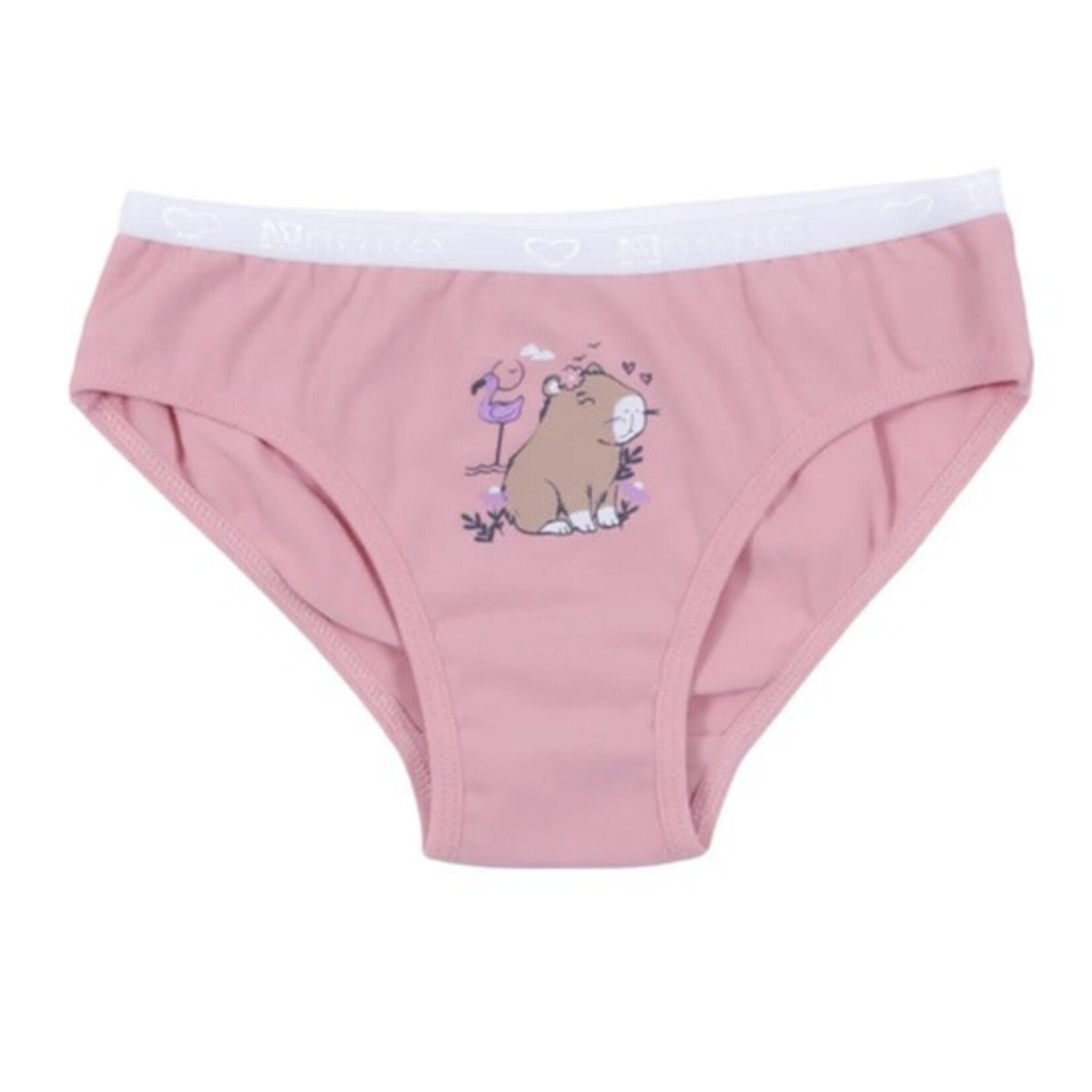 Nanö NANÖ - Lot de 3 culottes 'Capybaras et oiseaux - Bleu - Rose - Mauve'