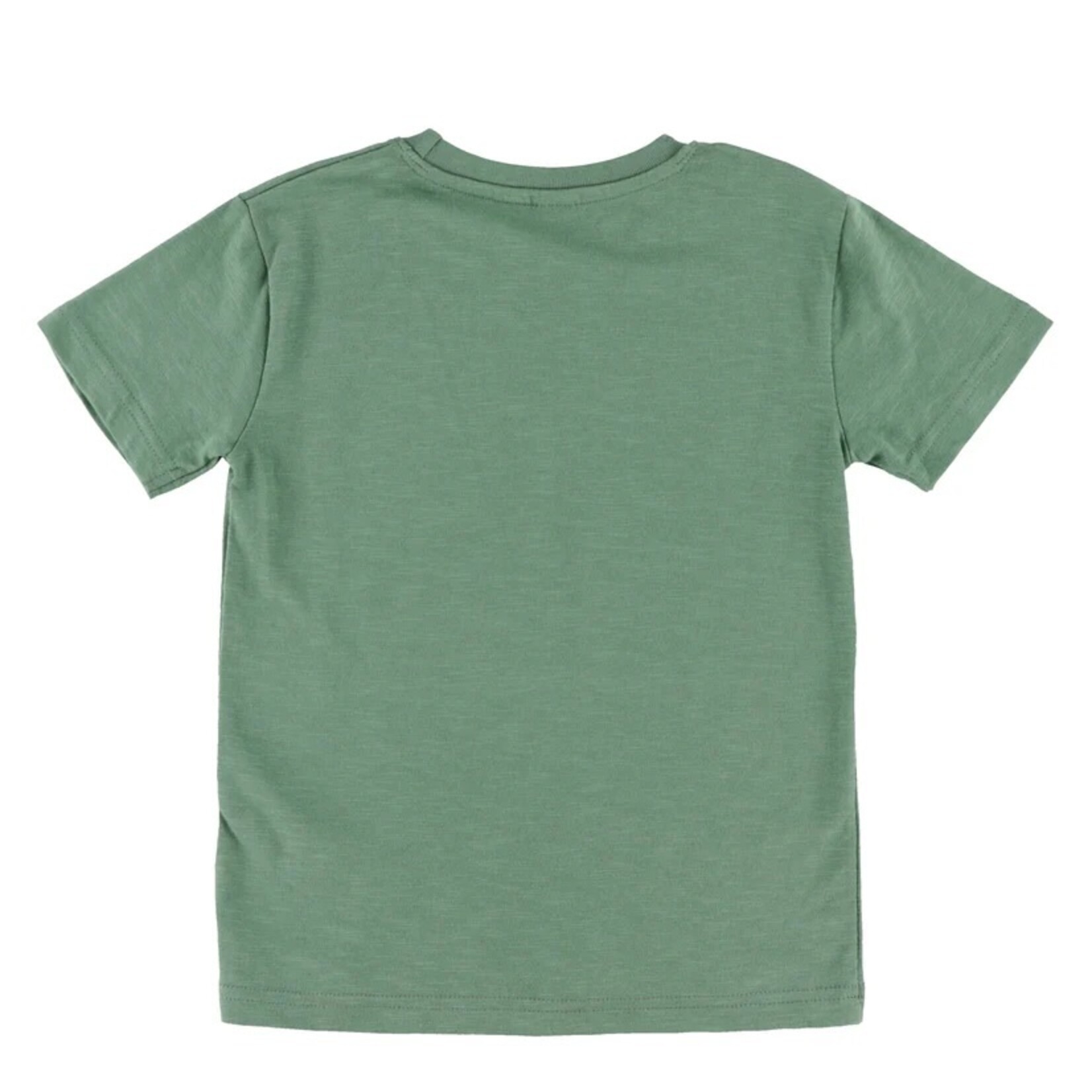 Nanö NANÖ - Green T-shirt with 'All Terrain' mountain print