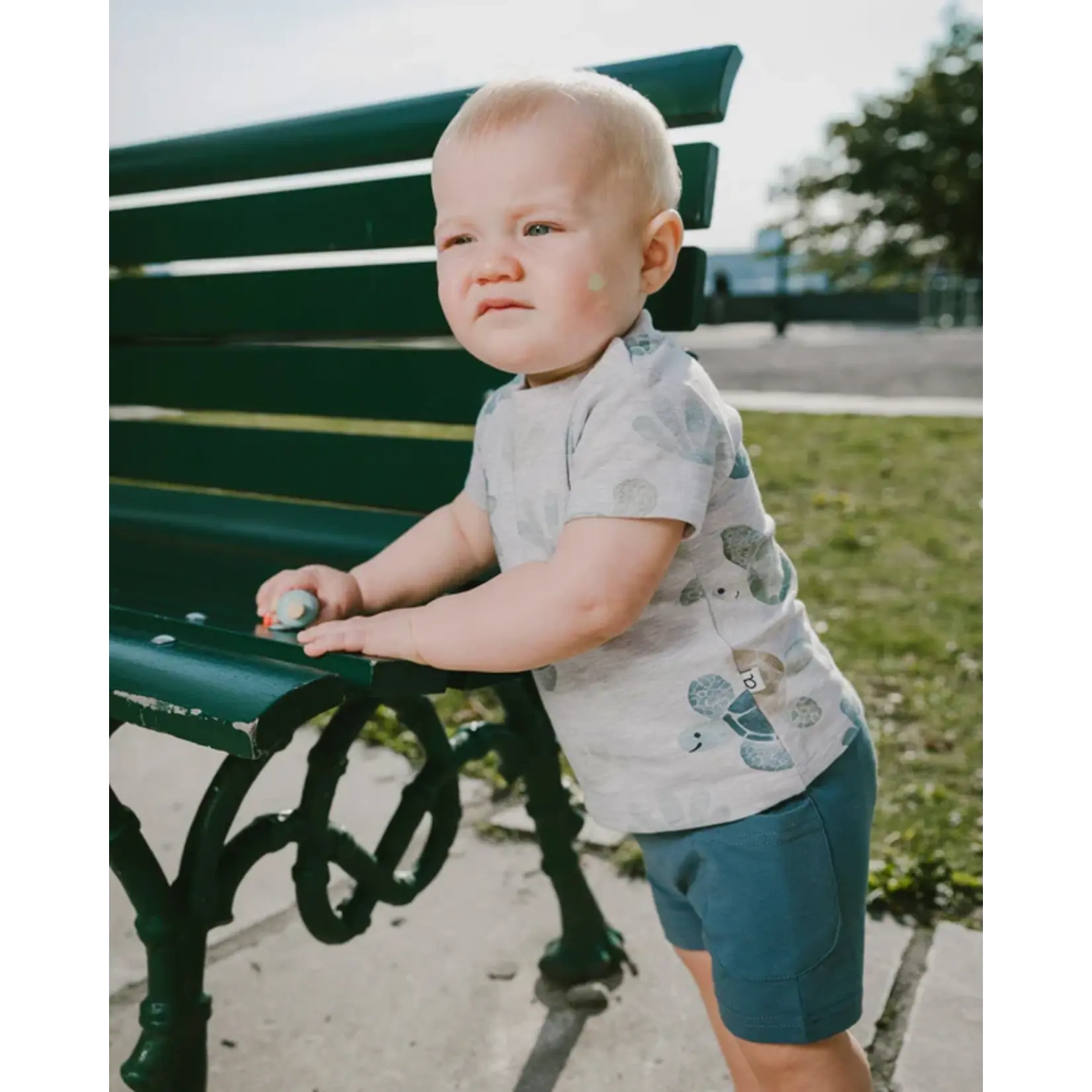 Deux par Deux DEUX PAR DEUX - 'Heather grey jersey t-shirt and medium blue shorts with 'Turtle Steps' turtle print