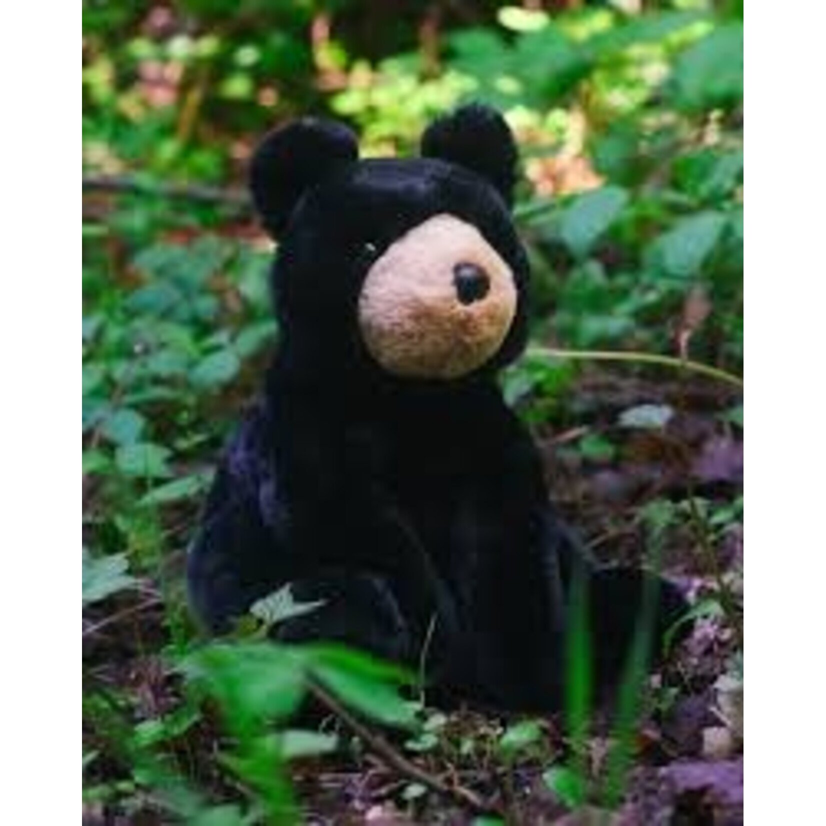 Douglas Cuddle Toys DOUGLAS - Peluche Ours noir