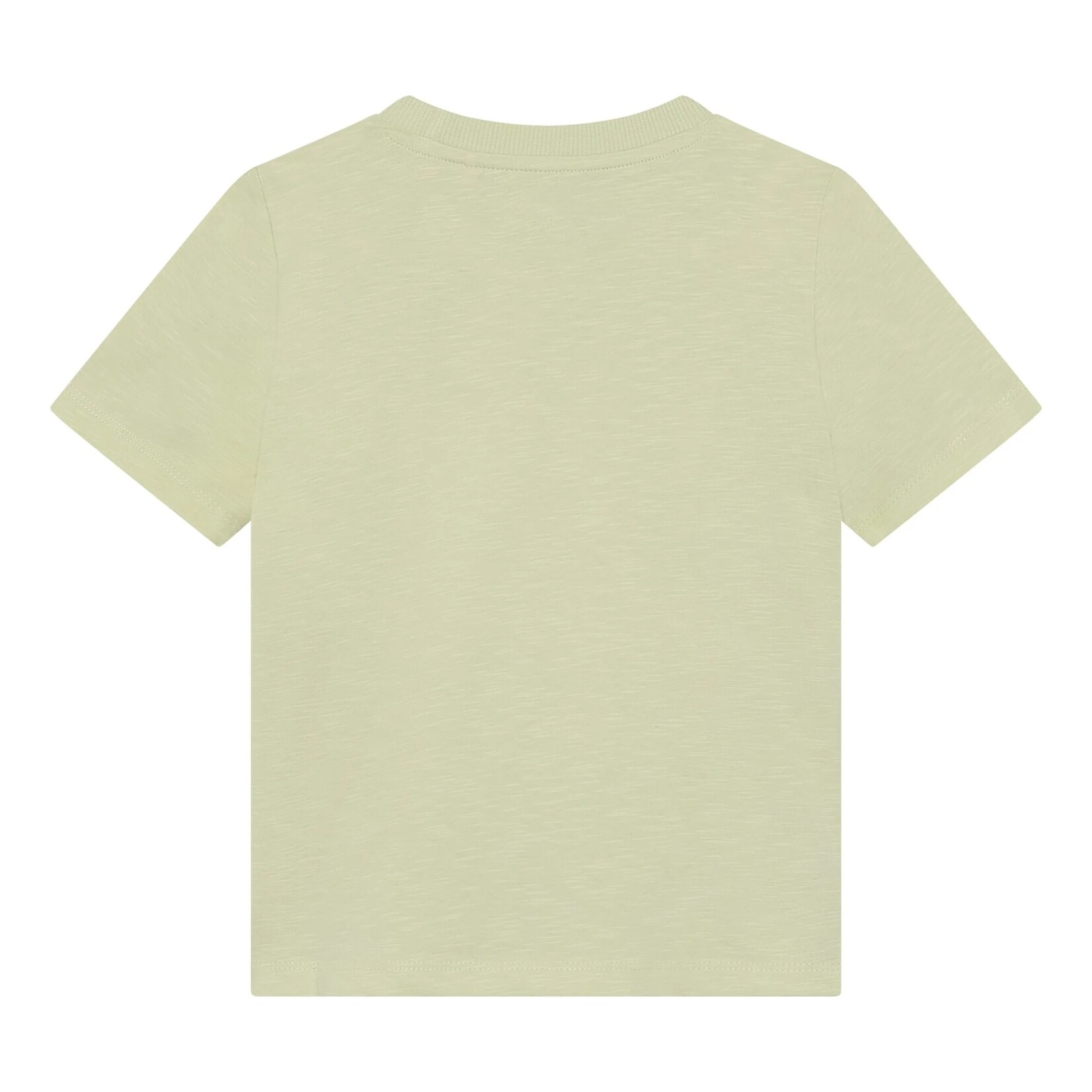 Minymo MINYMO - T-shirt vert pâle avec lézard en sequins bleus et argentés