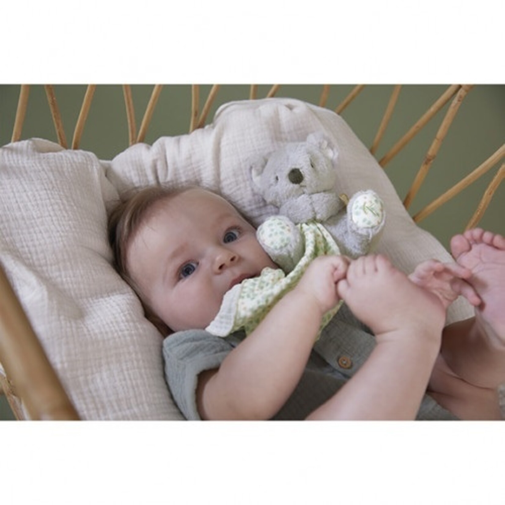 Kaloo  KALOO - Soft toy koala swaddle 'Little dream'