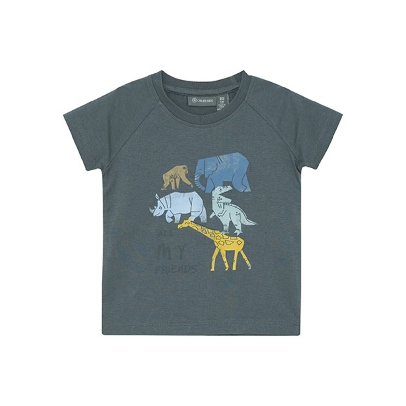 Color Kids COLORKIDS - T-shirt gris avec imprimé animaux 'All my friends'