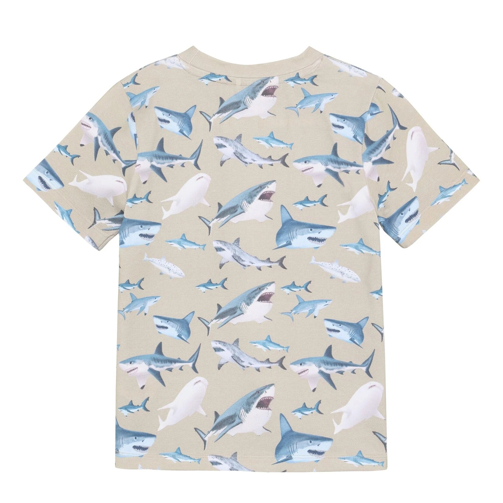 Minymo MINYMO - Brown T-shirt with shark print