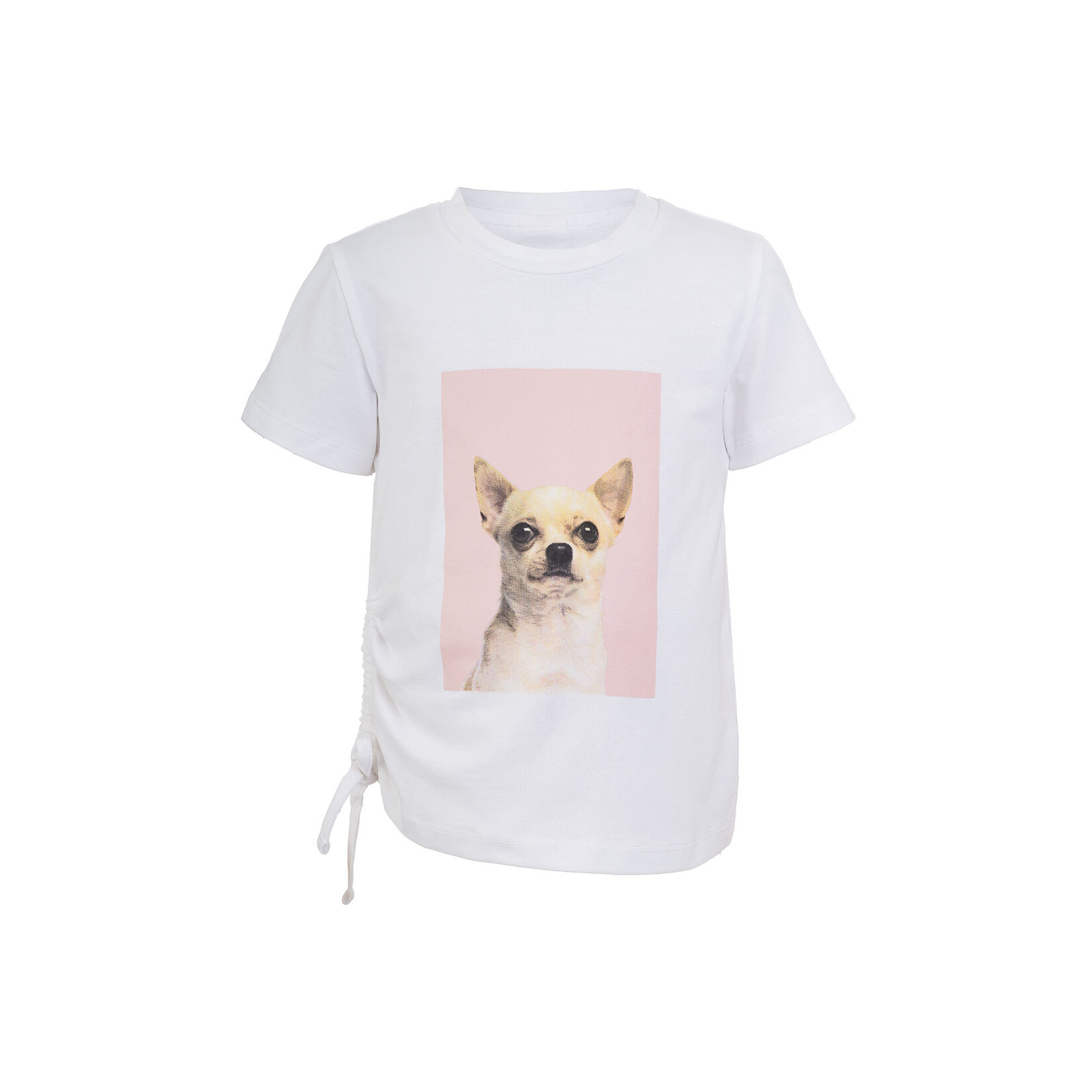 Mandarine & Co. MANDARINE & CO. - White T-shirt with a printed photo of a 'Pure white' Chihuahua