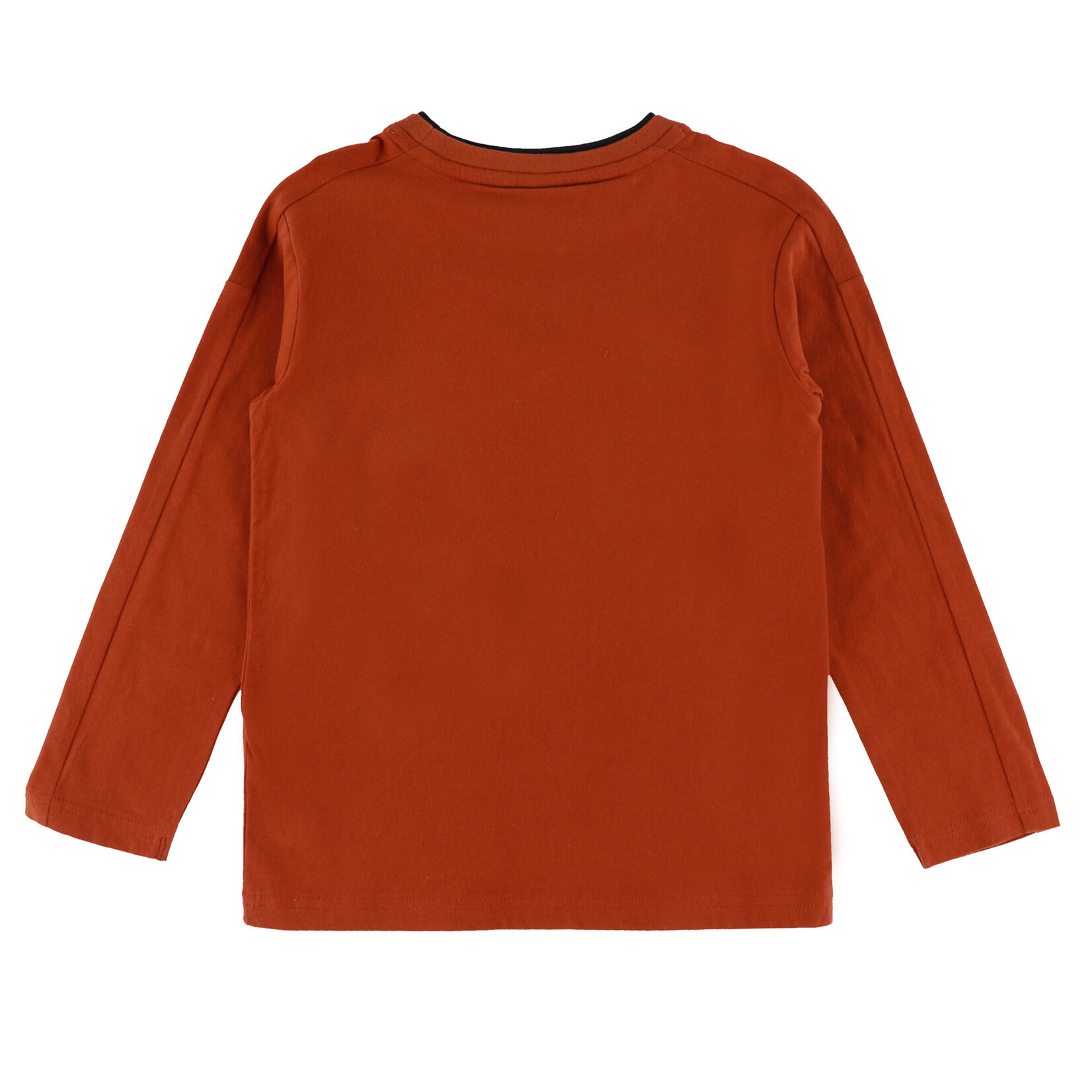 Nanö NANÖ - Long-sleeved T-shirt with nature print  'Exploration du nord!'