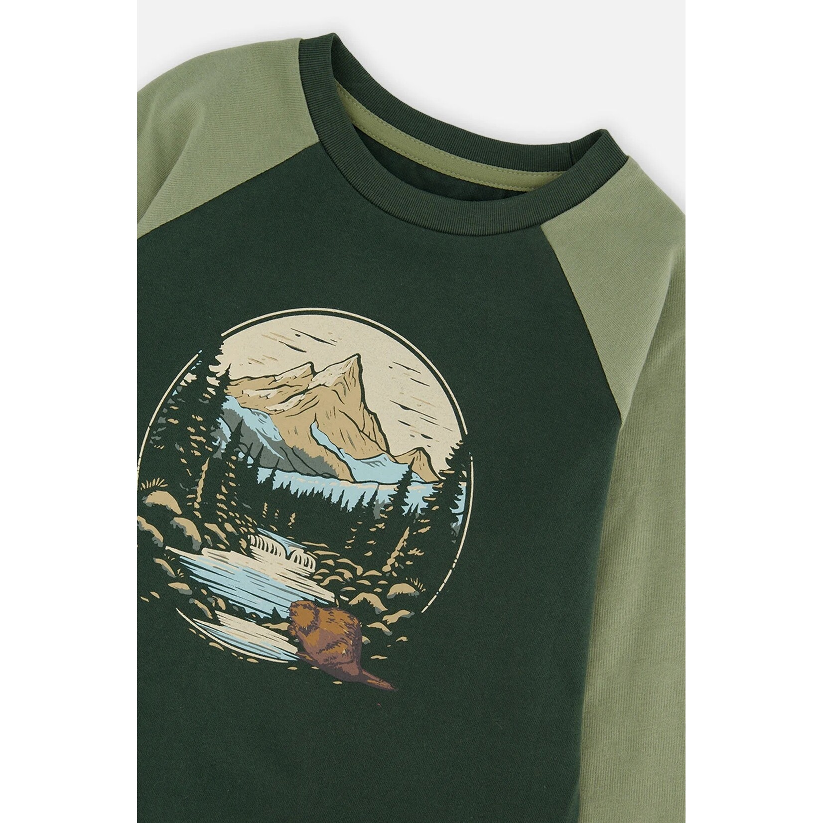 Deux par Deux DEUX PAR DEUX - Dark turquoise raglan T-shirt with nature-inspired graphic print
