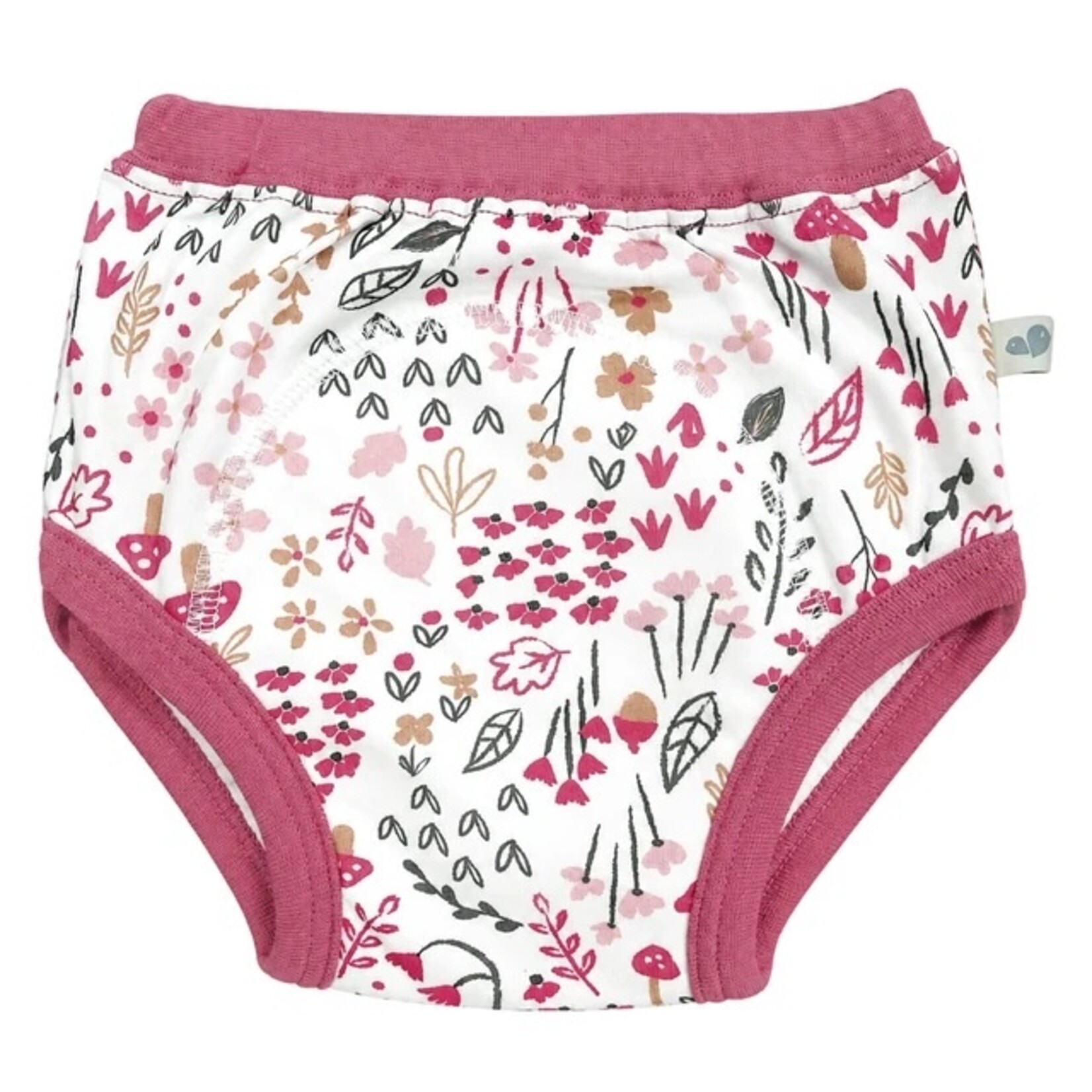 Perlimpinpin PERLIMPINPIN - Washable and reusable training underwear – Raspberry, Garden, and Vespa