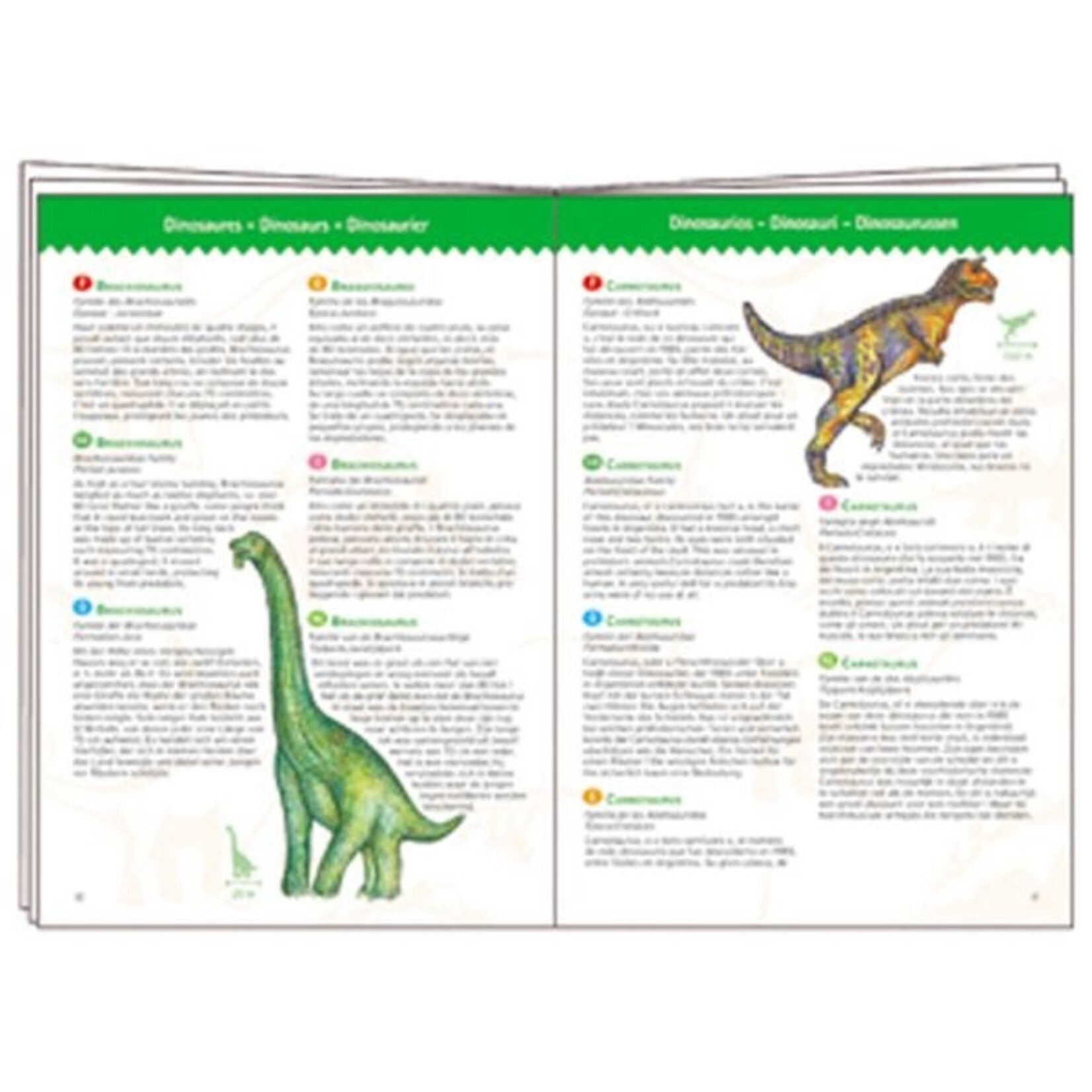 Djeco DJECO - Casse-tête de 100 pièces 'Observation & Livret' - Dinosaures