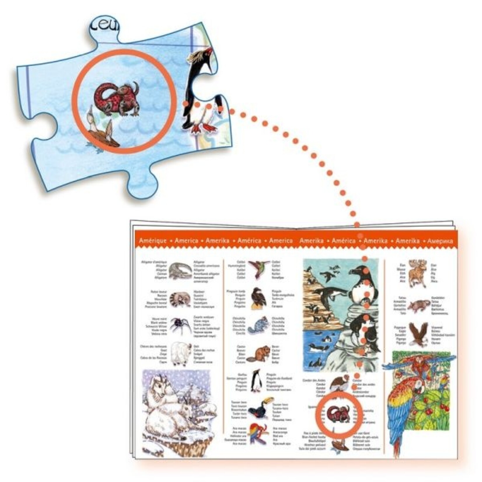 Djeco DJECO - Casse-tête de 100 pièces 'Observation & Livret' - Animaux du monde