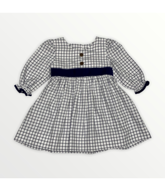 Banana Split Blue Windowpane Dress