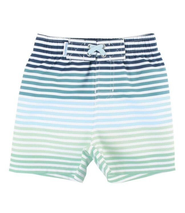 Coastal Stripe Swim Trunks