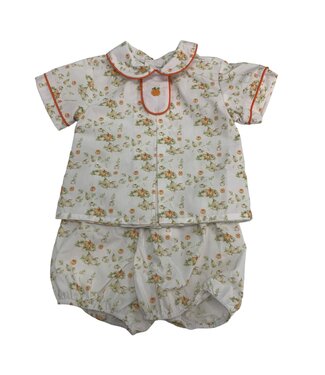 Baby Blessings Pumpkin Harvest David Set