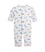 Baby Dinos Printed Coverall