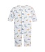 Baby Dinos Printed Coverall