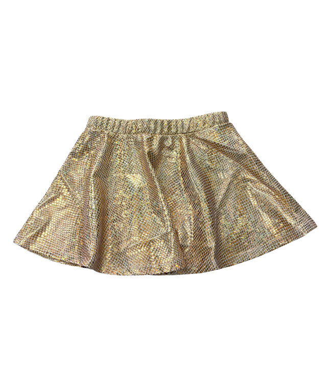 Metallic Skirt