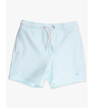 RuffleButts + RuggedButts Blue Breeze Seersucker Performance Hybrid Swim Trunks
