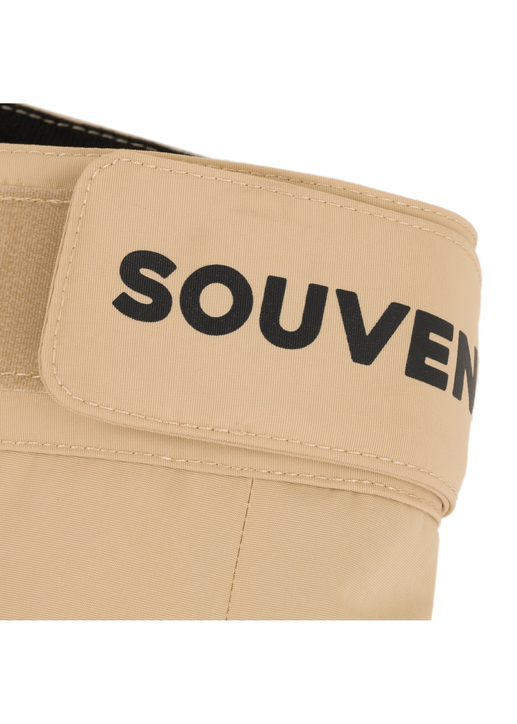 Souvenir Pleated Chino Pant