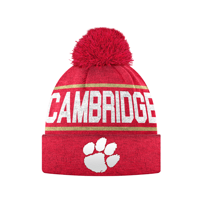 Cambridge Lions Custom Knit Toque